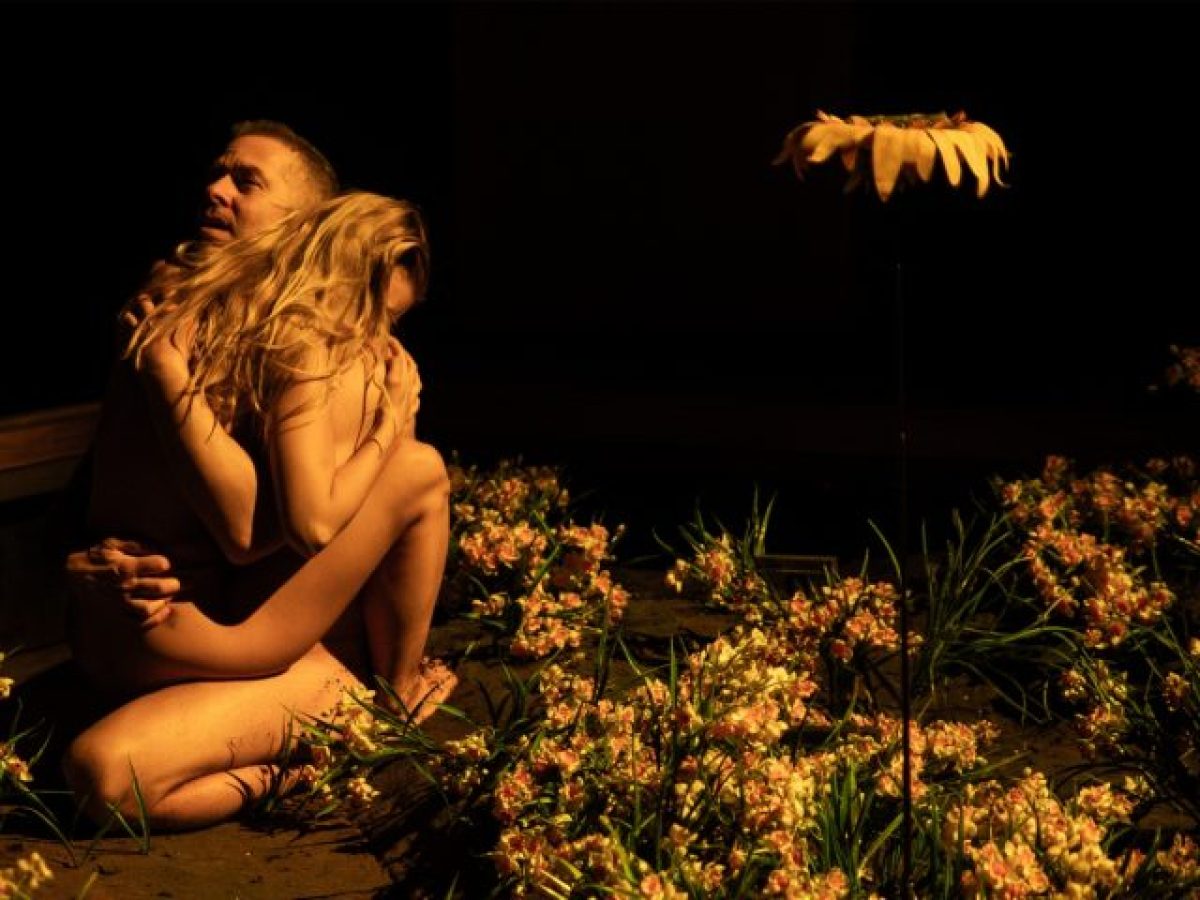 “Cleansed” της Σάρα Κέιν σε σκηνοθεσία Δημήτρη Καραντζά: Μια διαυγής, ολοκληρωμένη και βαθιά σκηνική εκδοχή ενός έργου σοκαριστικής βίας και άφατης τρυφερότητας