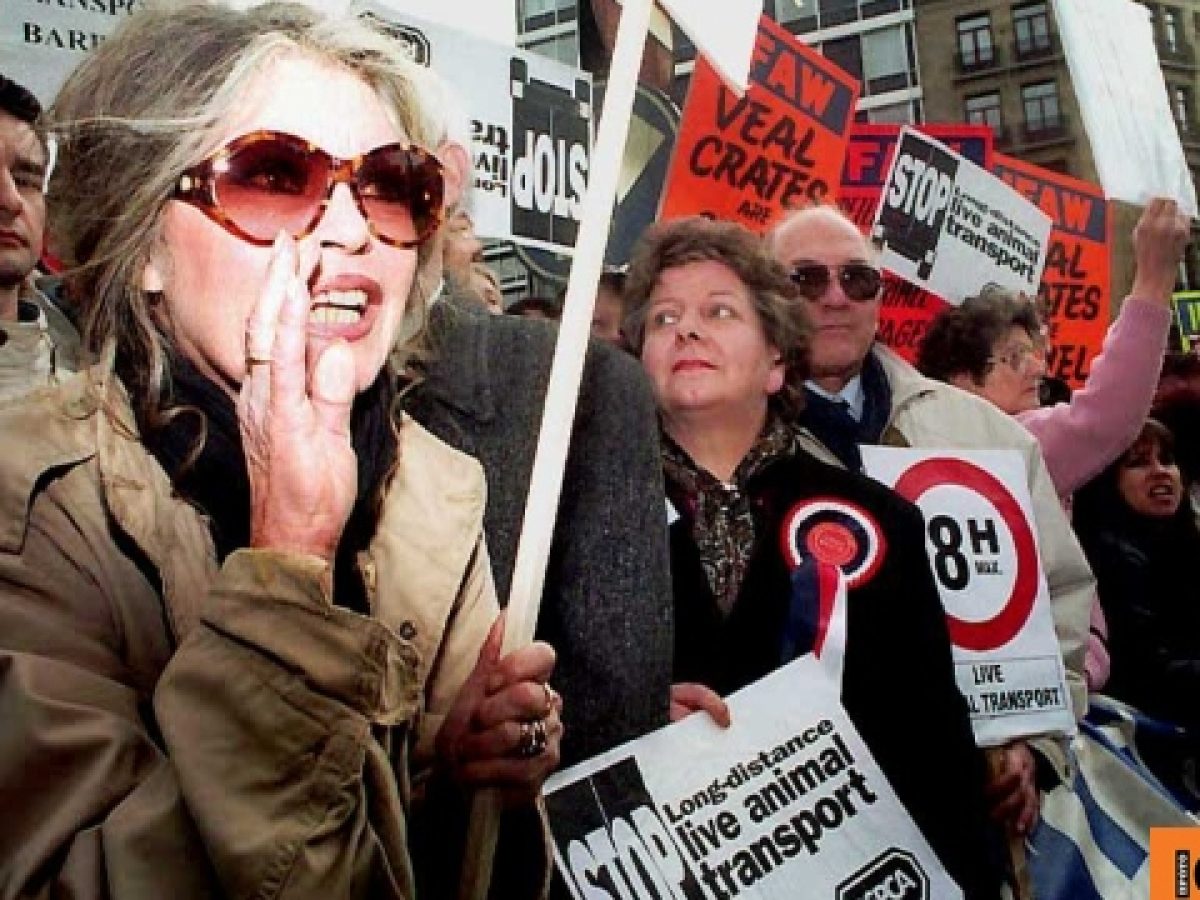 Μπριζίτ Μπαρντό: Σε κοιμητήριο του Σεν Τροπέ η ταφή της