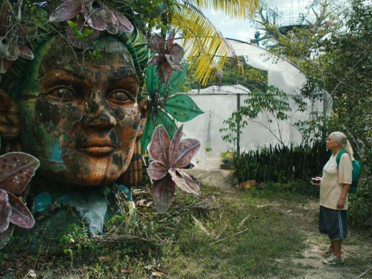 Γαλάζιο μονοπάτι: Ταινία του Γκαμπριέλ Μασκάρου για μια ηλικιωμένη γυναίκα που περιπλανιέται στην ελευθερία