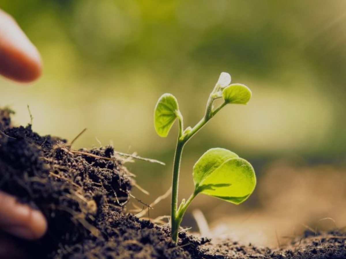 Η γη και η αλλαγή της σχέσης της με τον άνθρωπο
