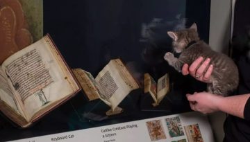 Πατούσες επί χάρτου – Μια άτακτη γάτα και μία έκθεση