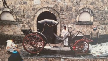 Τατόι: Έτσι διασώθηκαν και συντηρήθηκαν τα 100.000 πολύτιμα αντικείμενα του κτήματος – Δείτε φωτογραφίες