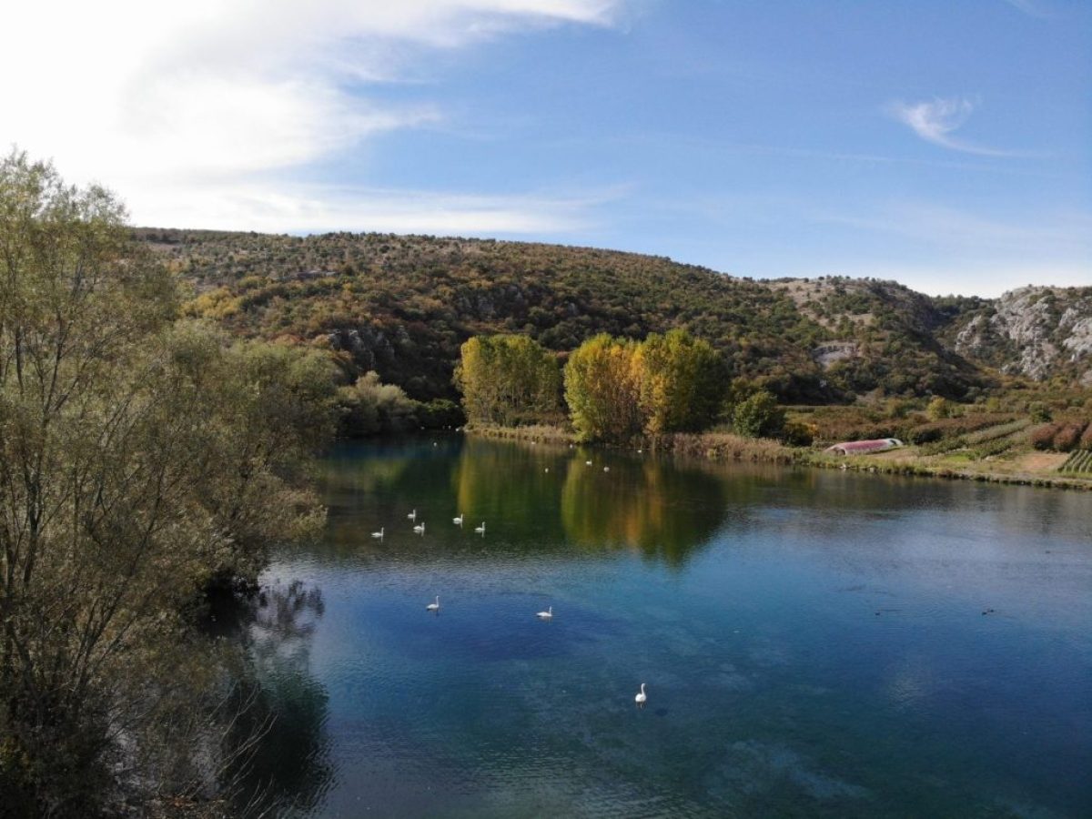 Υδροβιότοπος Άγρα Βρυτών Νησίου – Ένας ζωντανός φυσικός θησαυρός της Έδεσσας