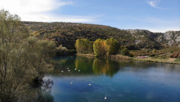 Υδροβιότοπος Άγρα Βρυτών Νησίου – Ένας ζωντανός φυσικός θησαυρός της Έδεσσας