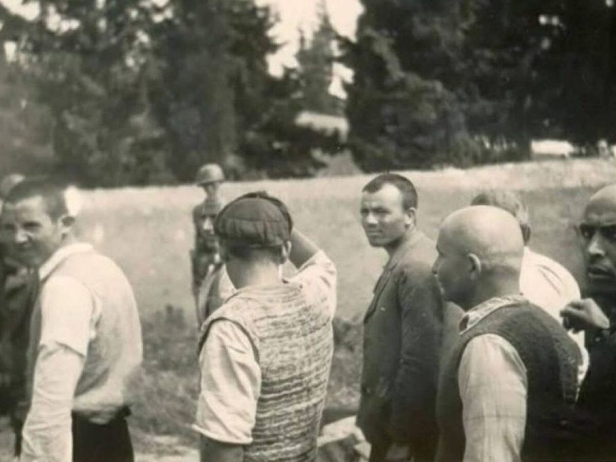 Πώς δημιουργήθηκε η συλλογή των 163 φωτογραφιών από τους Γερμανούς κατά την Κατοχή, που θέλει να αγοράσει το ελληνικό κράτος