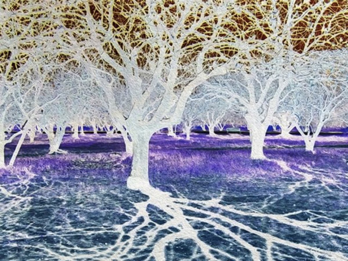 “A Closer Look II” στην FokiaNou Art Space: Πέντε καλλιτέχνες εξερευνούν διαφορετικές όψεις της ανθρώπινης εμπειρίας