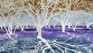 “A Closer Look II” στην FokiaNou Art Space: Πέντε καλλιτέχνες εξερευνούν διαφορετικές όψεις της ανθρώπινης εμπειρίας