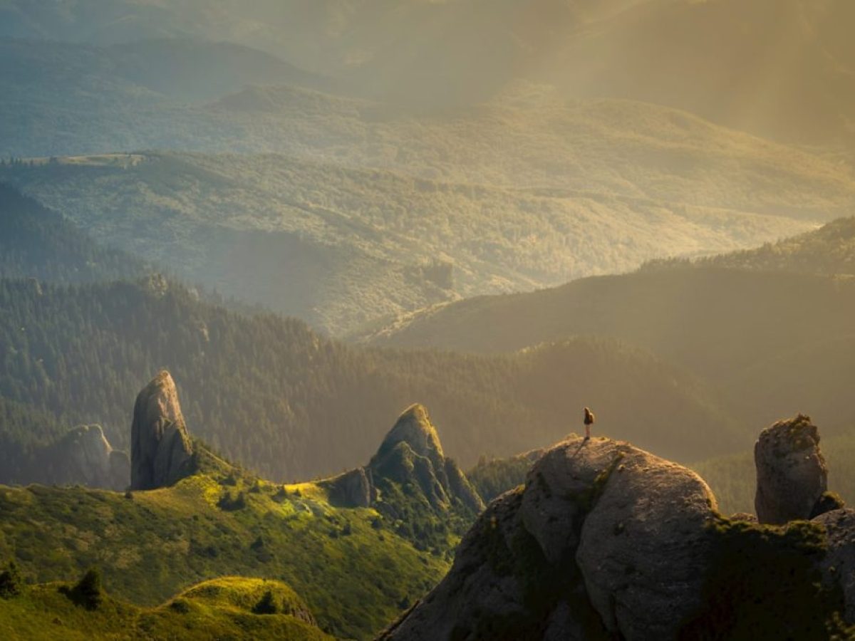 Το Nollywood: Η Αφρικανική Κινηματογραφική Βιομηχανία