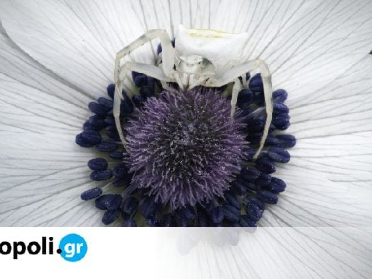 Λόφος Art Project: Υποδέχεται την άνοιξη με εκθέσεις – “μικρές ιεροτελεστίες”