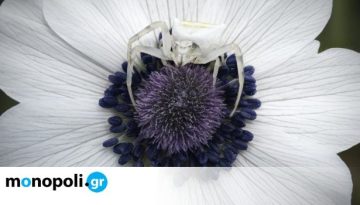 Λόφος Art Project: Υποδέχεται την άνοιξη με εκθέσεις – “μικρές ιεροτελεστίες”