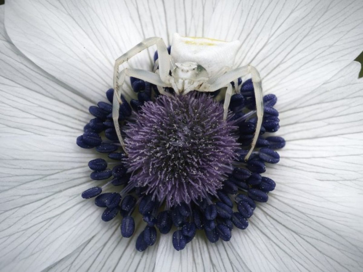 Μικρές Ιεροτελεστίες της Άνοιξης – Ένα Ρέκβιεμ από το Μέλλον: Έκθεση στο Λόφος Art Project