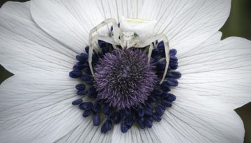 Μικρές Ιεροτελεστίες της Άνοιξης – Ένα Ρέκβιεμ από το Μέλλον: Έκθεση στο Λόφος Art Project