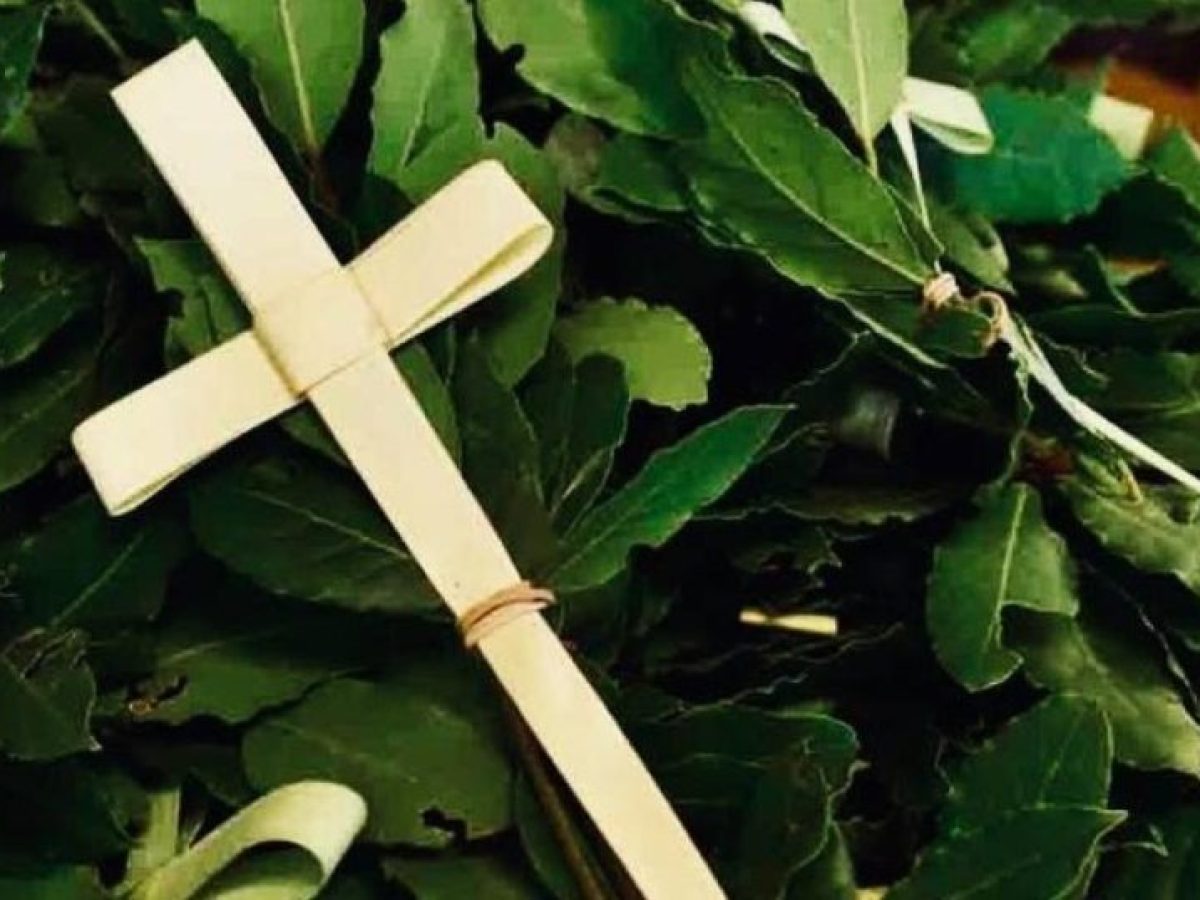 Ποίημα: Η Κυριακή των Βαΐων