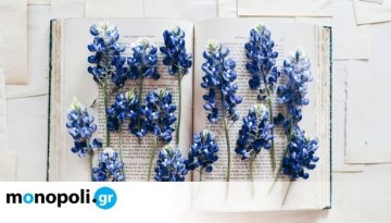 Σητεία: Ένας νέος πολυθεματικός θεσμός γεννιέται με επίκεντρο τη λογοτεχνία
