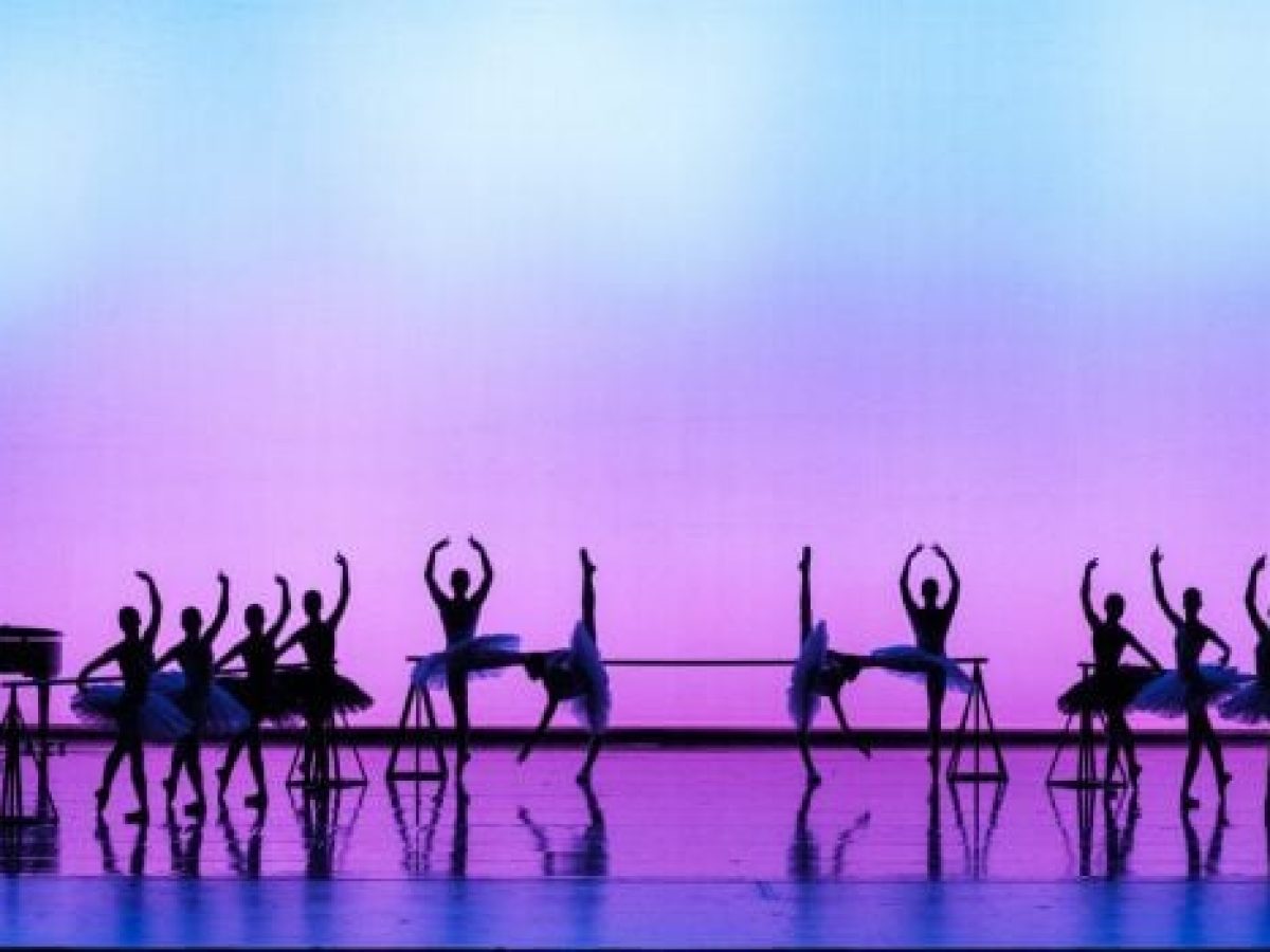 Metamorphosis: &Pi;&alpha;&rho;ά&sigma;&tau;&alpha;&sigma;&eta; &tau;&eta;&sigmaf; &Alpha;&nu;ώ&tau;&epsilon;&rho;&eta;&sigmaf; &Epsilon;&pi;&alpha;&gamma;&gamma;&epsilon;&lambda;&mu;&alpha;&tau;&iota;&kappa;ή&sigmaf; &Sigma;&chi;&omicron;&lambda;ή&sigmaf; &Chi;&omicron;&rho;&omicron;ύ &tau;&eta;&sigmaf; &Epsilon;&theta;&nu;&iota;&kappa;ή&sigmaf; &Lambda;&upsilon;&rho;&iota;&kappa;ή&sigmaf; &Sigma;&kappa;&eta;&nu;ή&sigmaf;