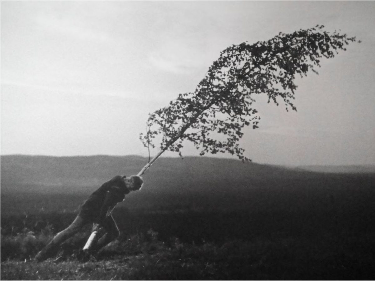 Athens Open Air Film Festival: Μπέργκμαν, Koons και «Η Πηγή των Παρθένων» στο Πάρκο Ελευθερίας