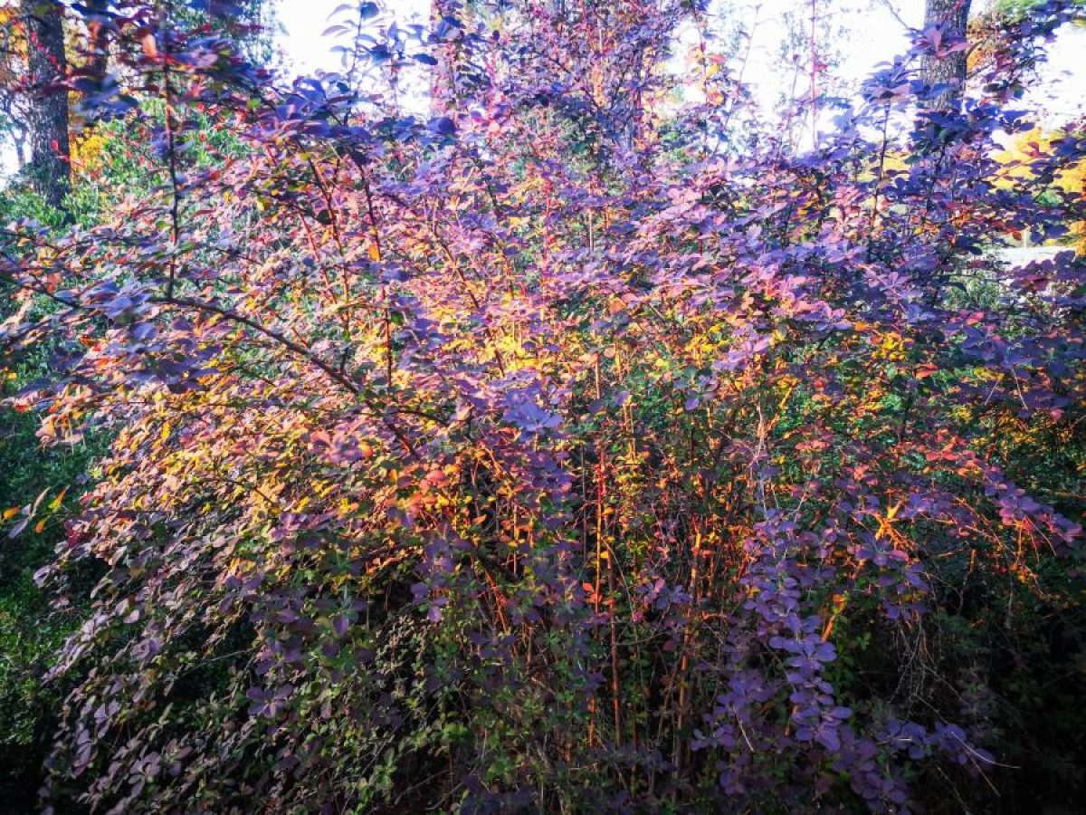 «Κρυφός Κήπος / Secret Garden» ΕΝΗ ΚΟΥΚΟΥΛΑ, UKKA LELLE, ‘Ανδρος – Art Point View
