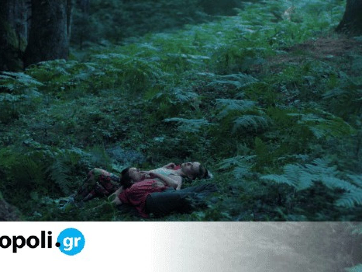 Αρκουδότρυπα: Η απάντηση στις ομοφοφικές αντιδράσεις – monopoli.gr