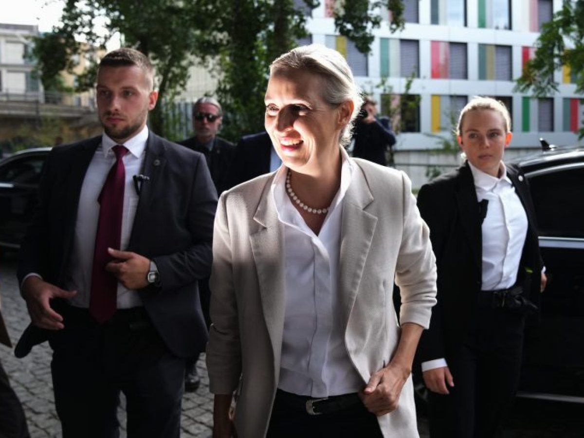 &Mu;&epsilon;&tau;ά &tau;&eta; &sigma;&alpha;&rho;&omega;&tau;&iota;&kappa;ή &nu;ί&kappa;&eta; &tau;&eta;&sigmaf; AfD, &tau;&omicron; &gamma;&epsilon;&rho;&mu;&alpha;&nu;&iota;&kappa;ό &laquo;&tau;&epsilon;ί&chi;&omicron;&sigmaf;&raquo; &alpha;&rho;&chi;ί&zeta;&epsilon;&iota; &nu;&alpha; &rho;&alpha;&gamma;ί&zeta;&epsilon;&iota; &sigma;&tau;&eta; &Sigma;&alpha;&xi;&omicron;&nu;ί&alpha;-Ά&nu;&chi;&alpha;&lambda;&tau; &ndash; Art Point View