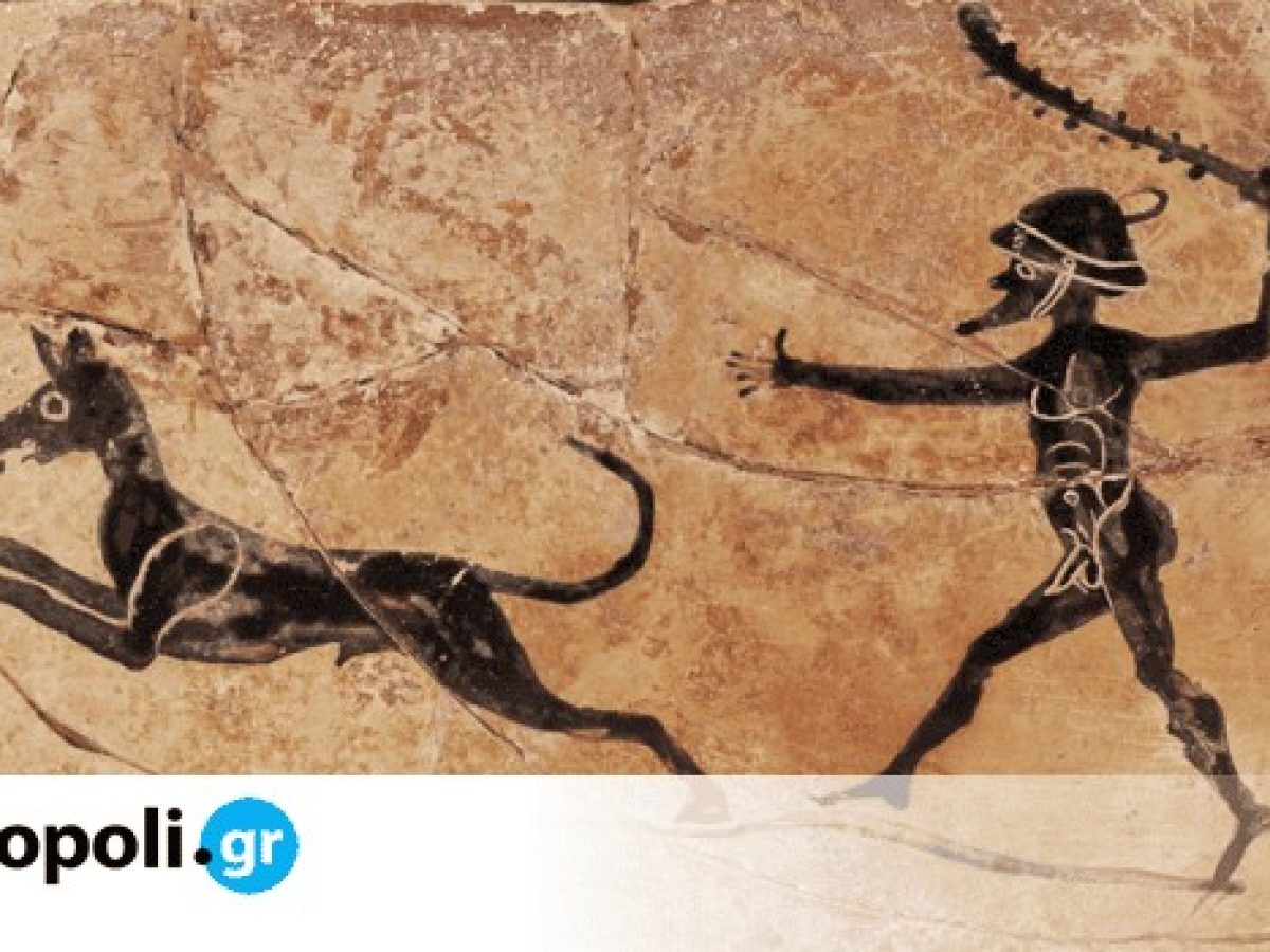 &laquo;Ά&nu;&theta;&rho;&omega;&pi;&omicron;&iota; &kappa;&alpha;&iota; &Zeta;ώ&alpha;: &Mu;&iota;&alpha; &pi;&alpha;&nu;ά&rho;&chi;&alpha;&iota;&alpha; &sigma;&chi;έ&sigma;&eta;&raquo;: &Nu;έ&alpha; έ&kappa;&theta;&epsilon;&sigma;&eta; &sigma;&tau;&omicron; &Epsilon;&theta;&nu;&iota;&kappa;ό &Mu;&omicron;&upsilon;&sigma;&epsilon;ί&omicron; &Phi;&upsilon;&sigma;&iota;&kappa;ή&sigmaf; &Iota;&sigma;&tau;&omicron;&rho;ί&alpha;&sigmaf; &Gamma;&omicron;&upsilon;&lambda;&alpha;&nu;&delta;&rho;ή