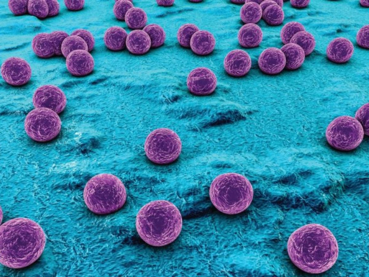 &Lambda;&omicron;&iota;&mu;ώ&xi;&epsilon;&iota;&sigmaf; &pi;&omicron;&upsilon; &sigma;&upsilon;&nu;&delta;έ&omicron;&nu;&tau;&alpha;&iota; &mu;&epsilon; &tau;&omicron; 12% &tau;&omega;&nu; &nu;έ&omega;&nu; &kappa;&rho;&omicron;&upsilon;&sigma;&mu;ά&tau;&omega;&nu; &kappa;&alpha;&rho;&kappa;ί&nu;&omicron;&upsilon; &ndash; Art Point View