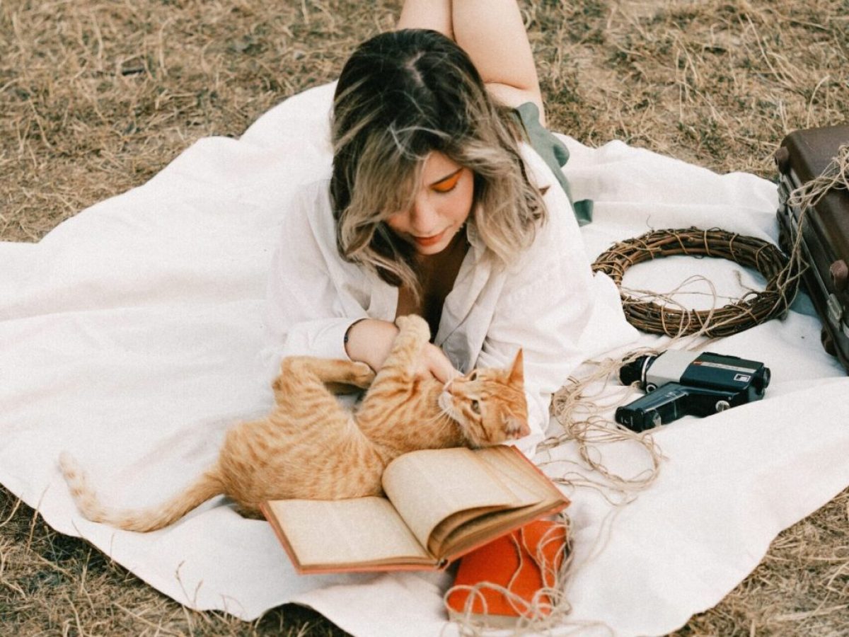 &laquo;The Encyclopedia of Movie Cats&raquo;: &Alpha;&nu; &alpha;&gamma;&alpha;&pi;ά&sigmaf; &tau;&iota;&sigmaf; &gamma;ά&tau;&epsilon;&sigmaf; &kappa;&alpha;&iota; &tau;&omicron; &sigma;&iota;&nu;&epsilon;&mu;ά, &alpha;&upsilon;&tau;ό &epsilon;ί&nu;&alpha;&iota; &tau;&omicron; &epsilon;&pi;ό&mu;&epsilon;&nu;&omicron; &beta;&iota;&beta;&lambda;ί&omicron; &sigma;&omicron;&upsilon;